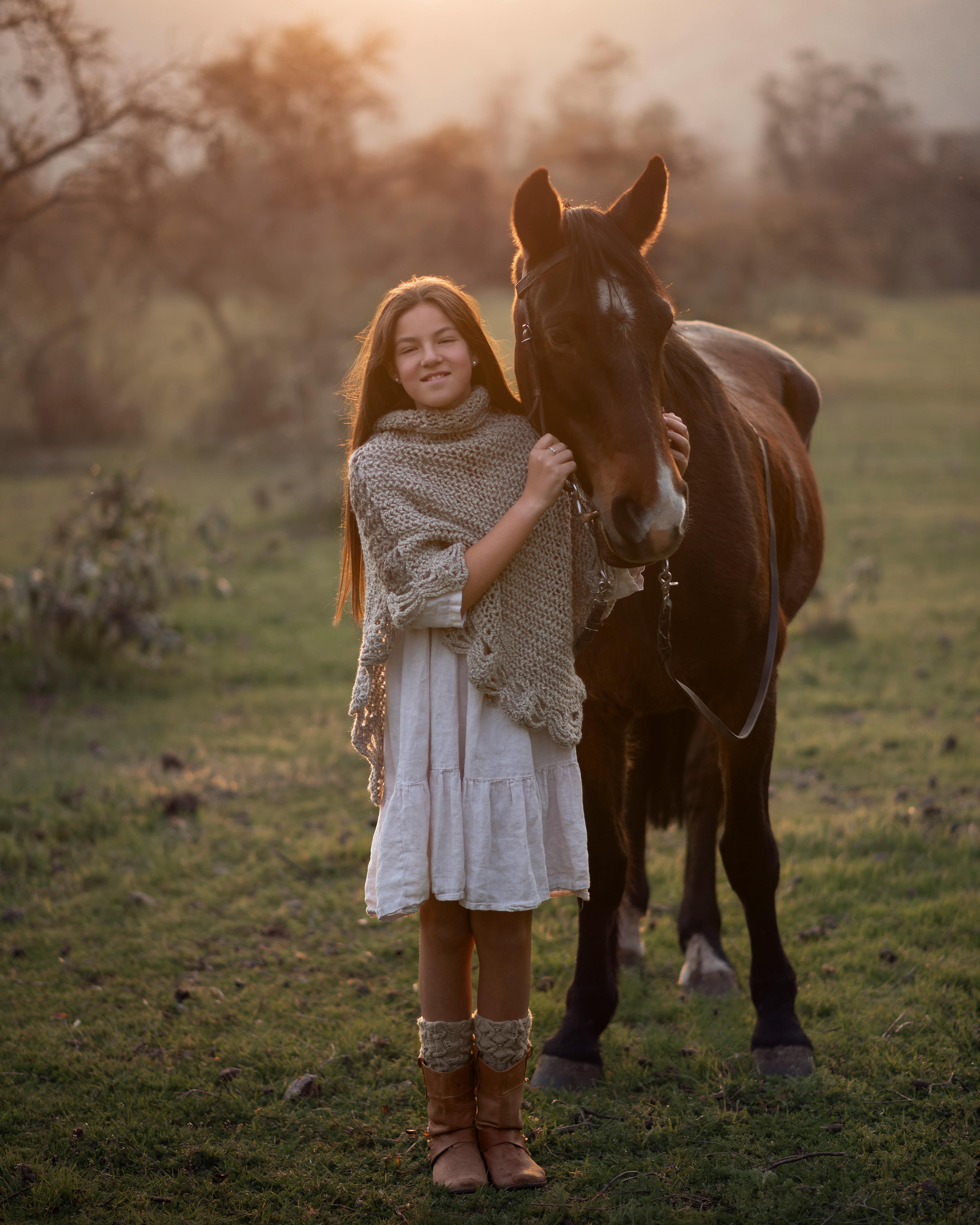 Brown horse in a field