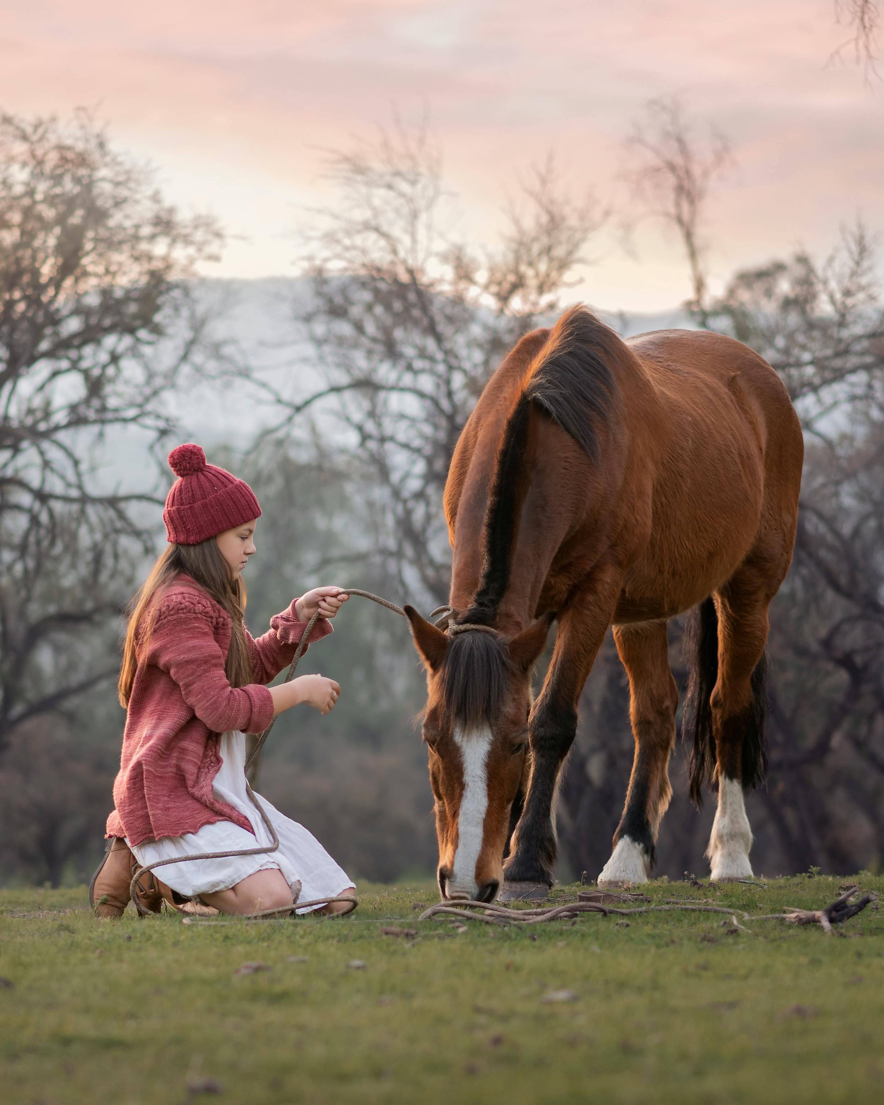 White horse looking at camera